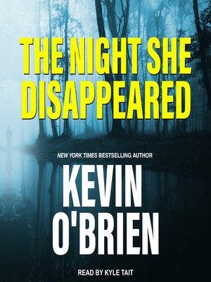 The Night She Disappeared - Audiobook